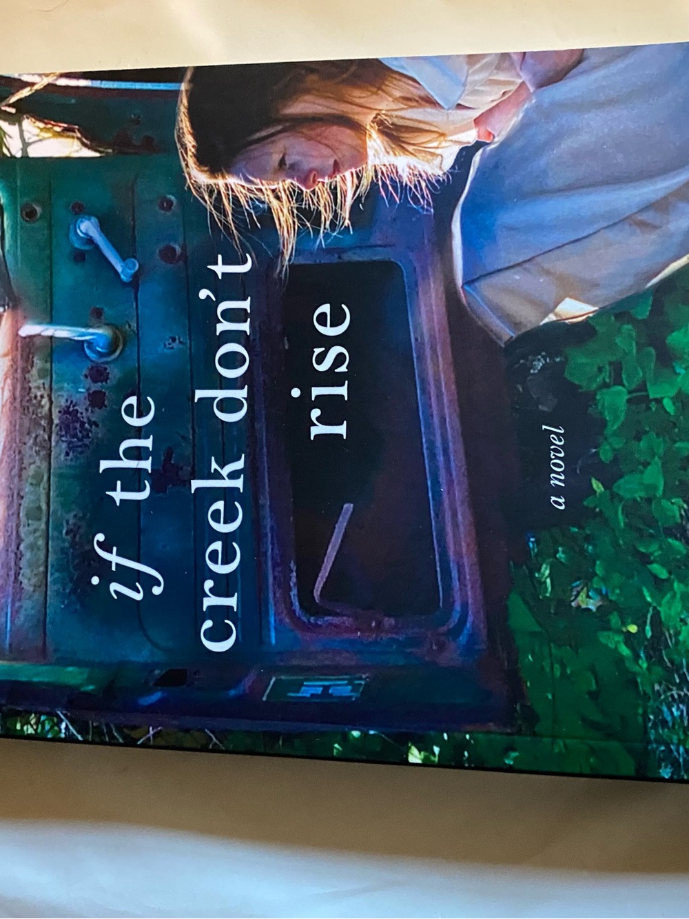 If the Creek Don't Rise Wall Art Print - Blue, Green